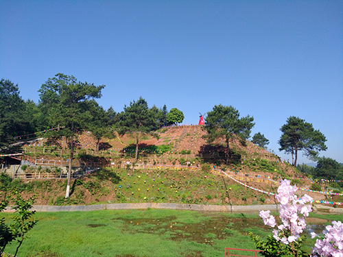 風(fēng)車節(jié)實(shí)景